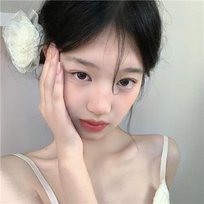 茶花彝女 海报