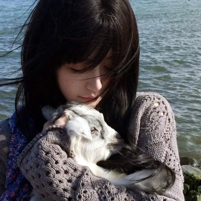 村金库连环盗窃事件 海报